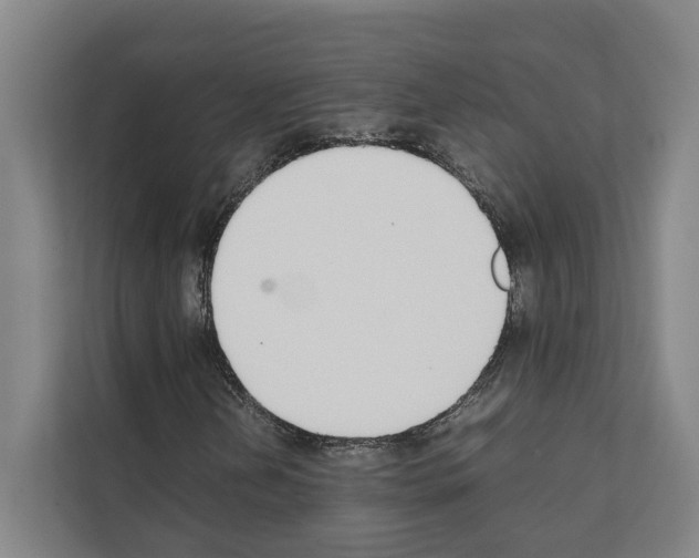 X0000111141202200908111107