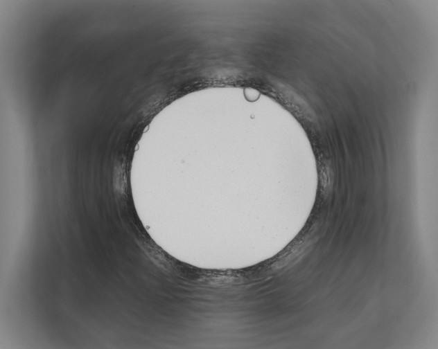 X0000111141204200908111107