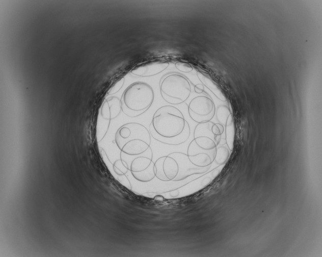 X0000111141205200908111107