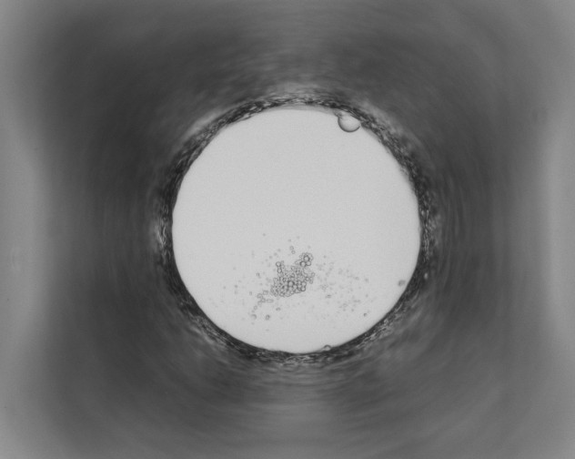 X0000111141206200908111107