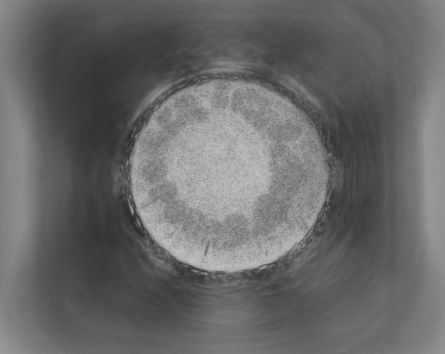 X0000111141208200908111107