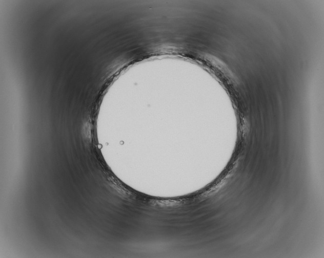 X0000111141209200908111107