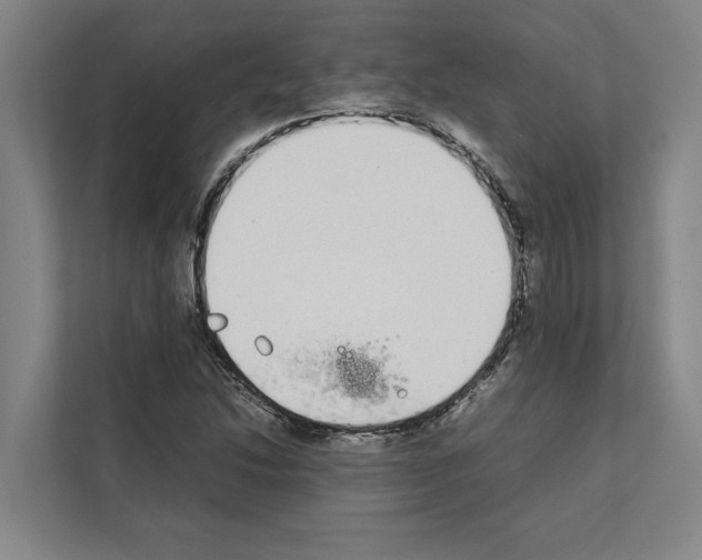 X0000111141214200908111107