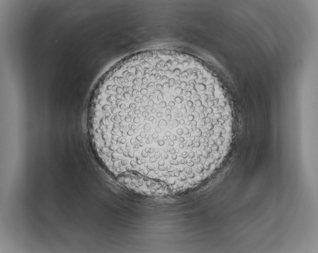 X0000111141216200908111107