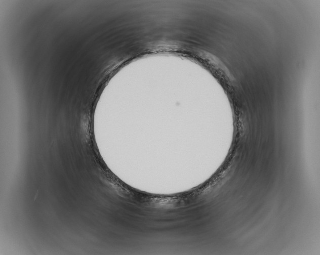 X0000111141217200908111107