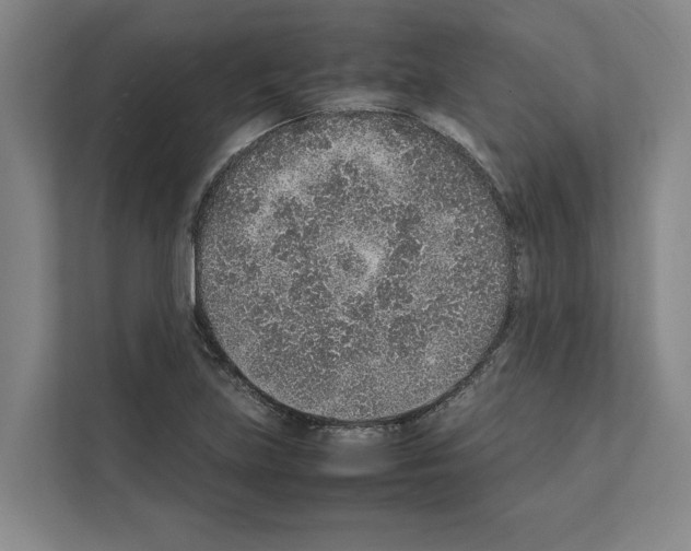 X0000111141219200908111107