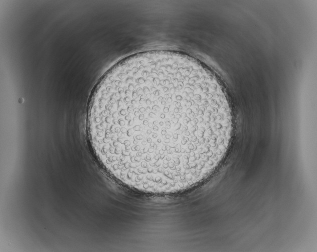 X0000111141220200908111107