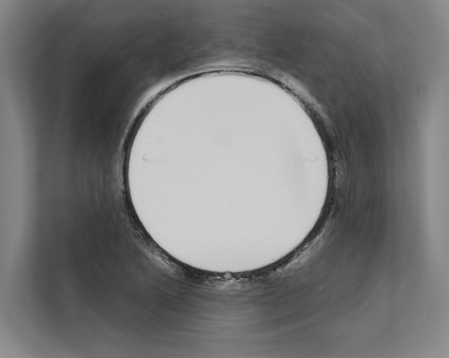 X0000111141222200908111107