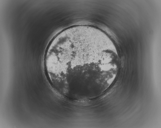 X0000111141229200908111107