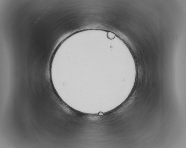 X0000111141230200908111107