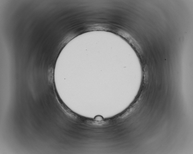 X0000111141233200908111107