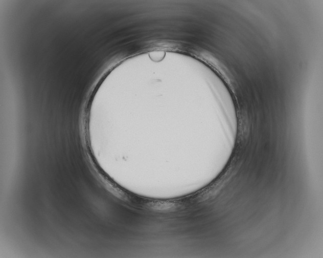 X0000111141235200908111107