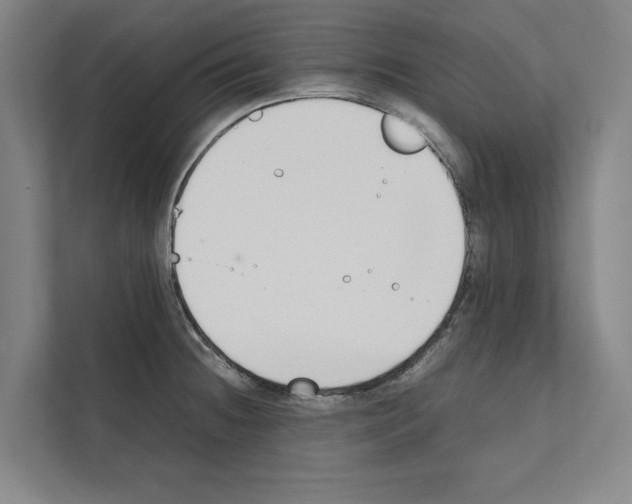 X0000111141236200908111107