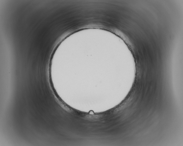 X0000111141237200908111107