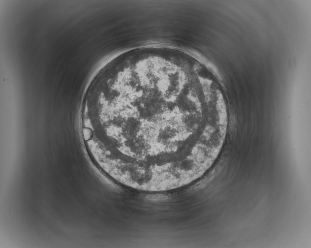 X0000111141239200908111107