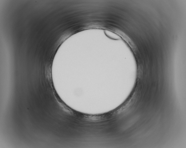 X0000111141241200908111107