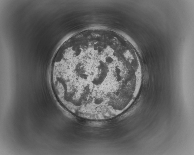 X0000111141245200908111107