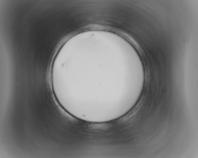 X0000111141247200908111107