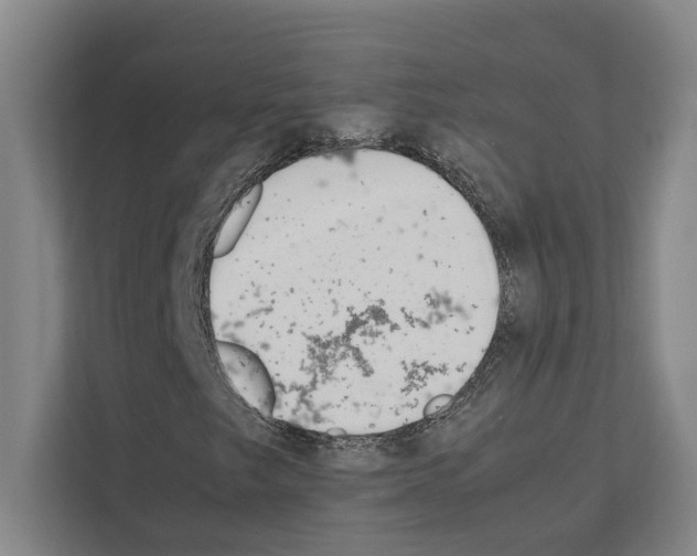 X0000111141249200908111107