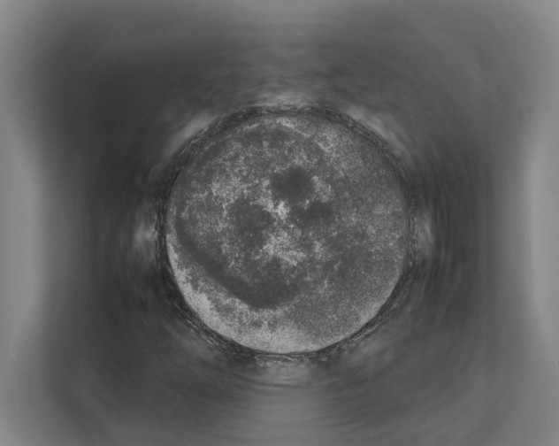 X0000111141254200908111107