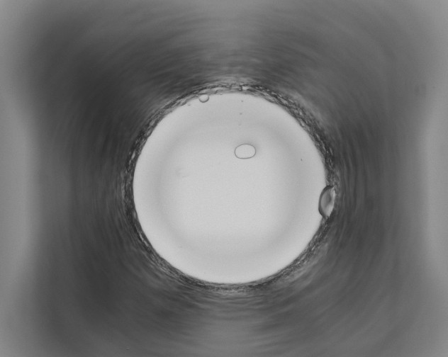 X0000111141257200908111107