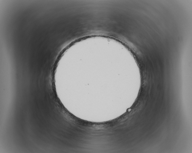 X0000111141264200908111107