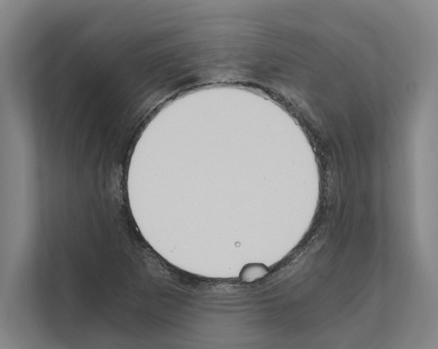 X0000111141265200908111107