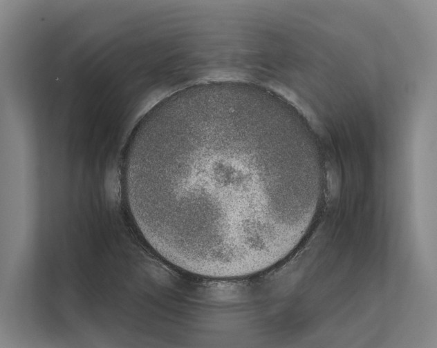 X0000111141266200908111107