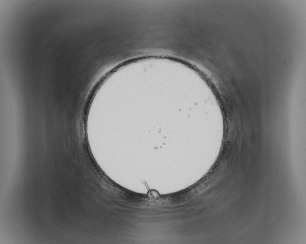 X0000111141271200908111107