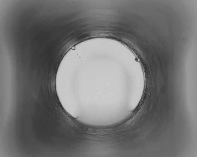 X0000111141273200908111106