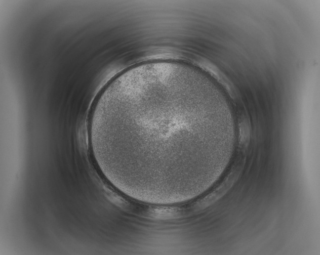 X0000111141274200908111106