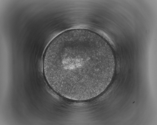 X0000111141276200908111106