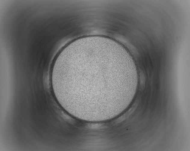 X0000111141278200908111106