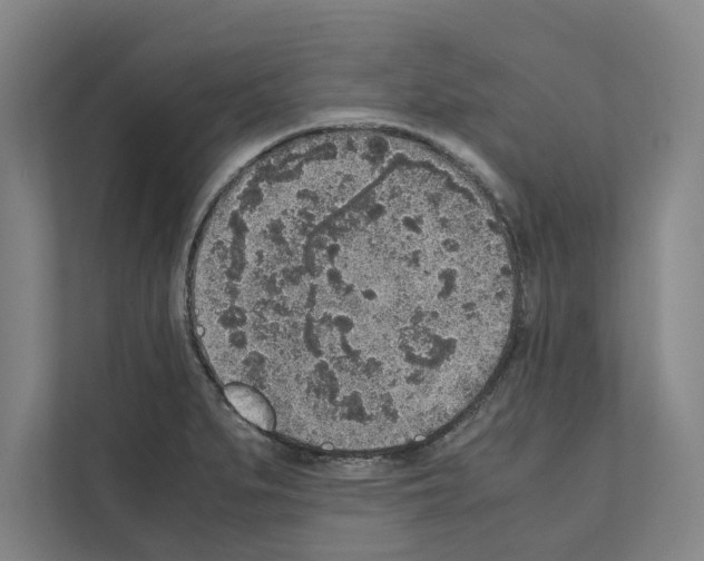 X0000111141279200908111106