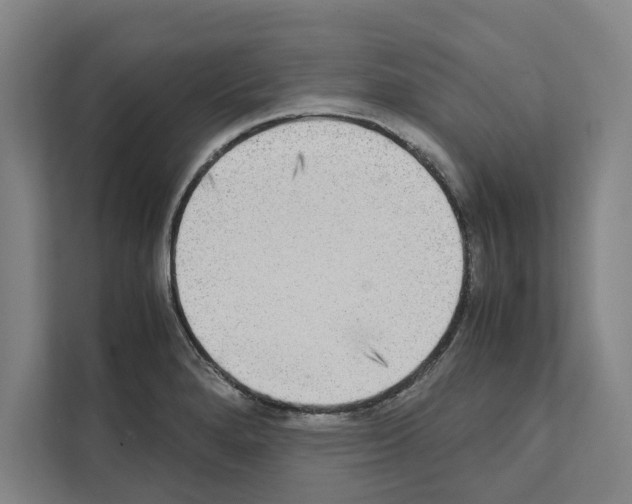 X0000111141280200908111106