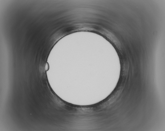 X0000111141281200908111106