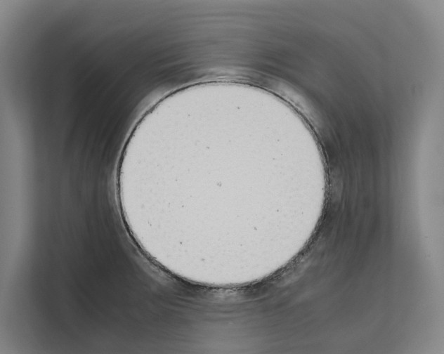 X0000111141283200908111106