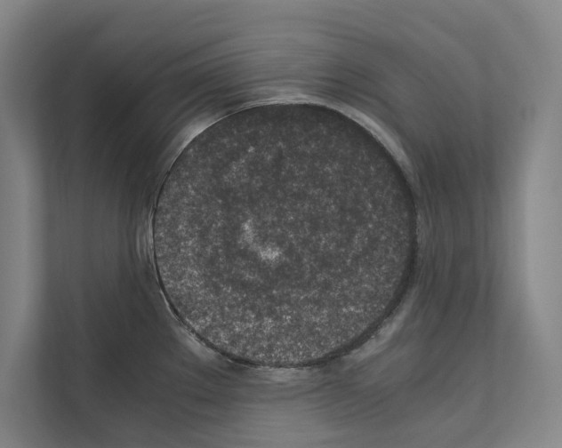 X0000111141289200908111106