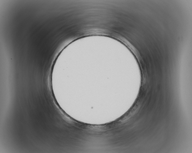 X0000111141293200908111106