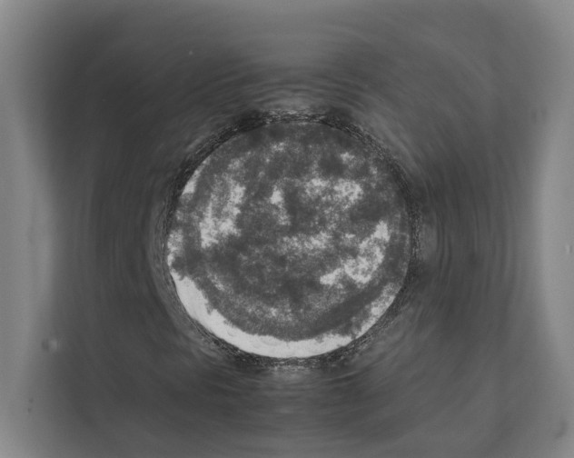 X0000111141297200908111106