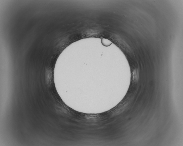 X0000111141299200908111106