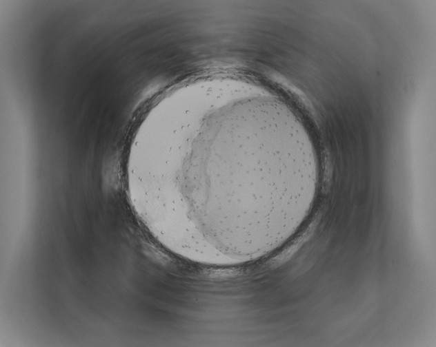 X0000111141306200908111106