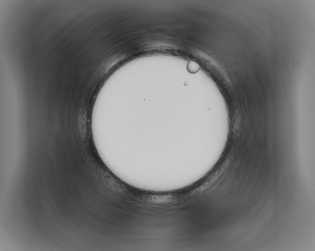 X0000111141313200908111106