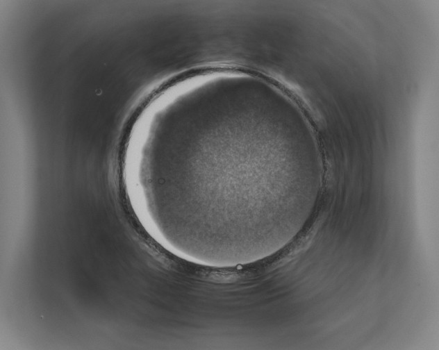 X0000111141319200908111106