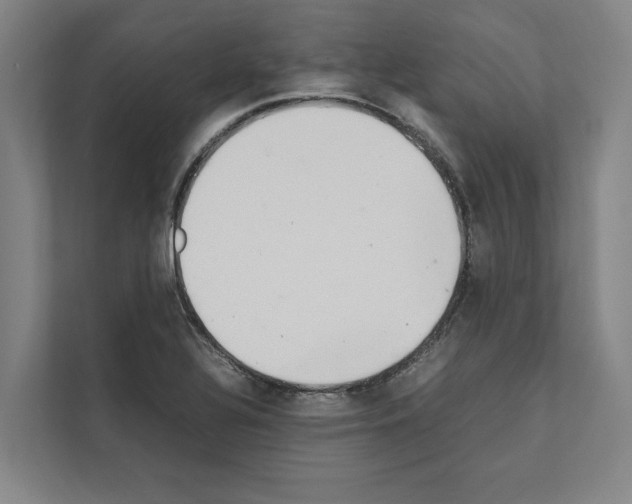 X0000111141320200908111106