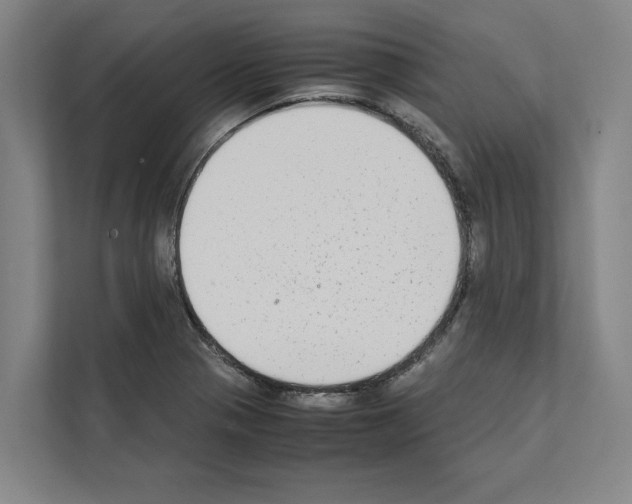 X0000111141321200908111106