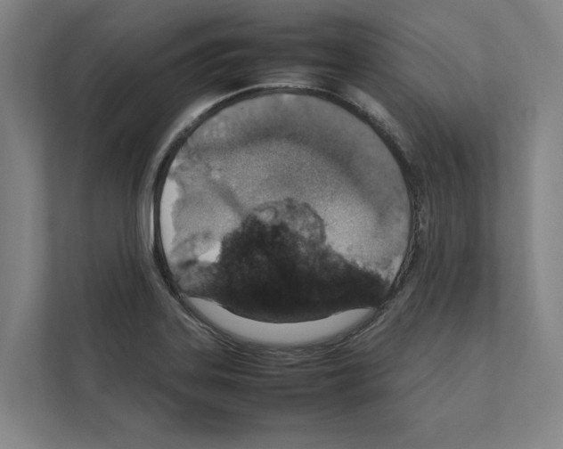 X0000111141323200908111106