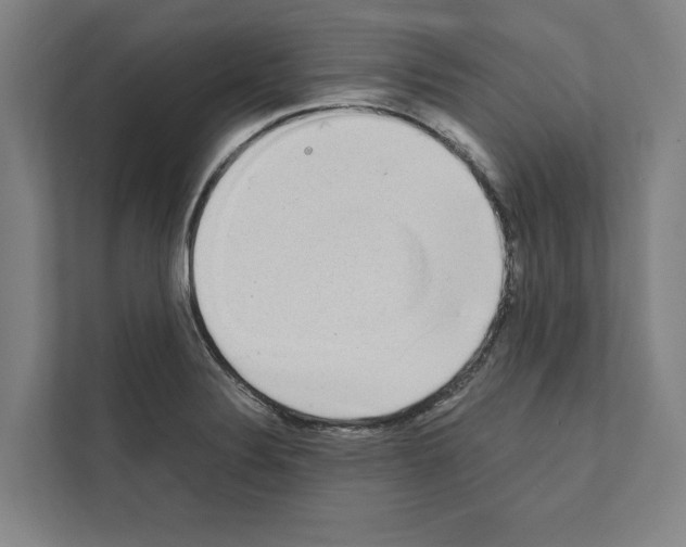 X0000111141324200908111106