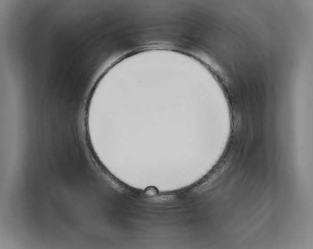 X0000111141325200908111106