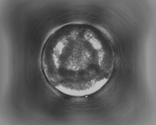 X0000111141327200908111106